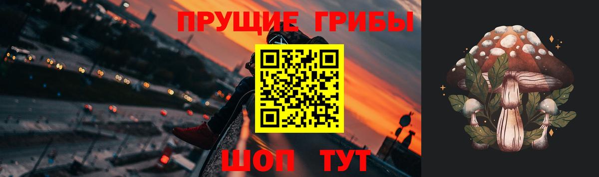 Псилоцибиновые грибы мухоморы Канск